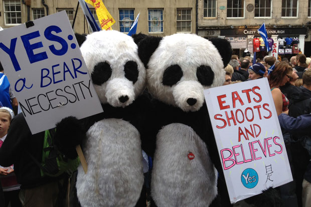 Yes campaign 14th Apr