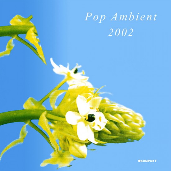 pop ambient 2002 - resize to 500x500